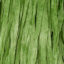 66 Verde Musgo